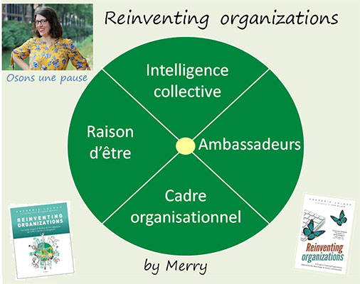 reinventing organization revisité par Merry Strullu sociologue